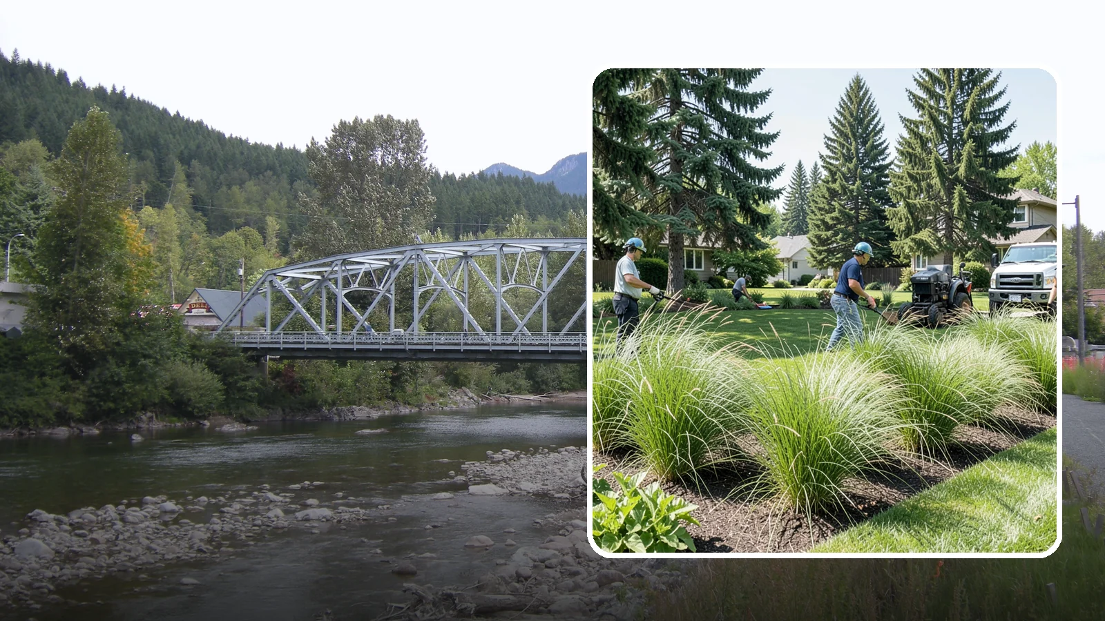 Ornamental Grass Planting in Skykomish, King County, WA - We plant ornamental grasses that add graceful movement and texture to Northwest landscapes.