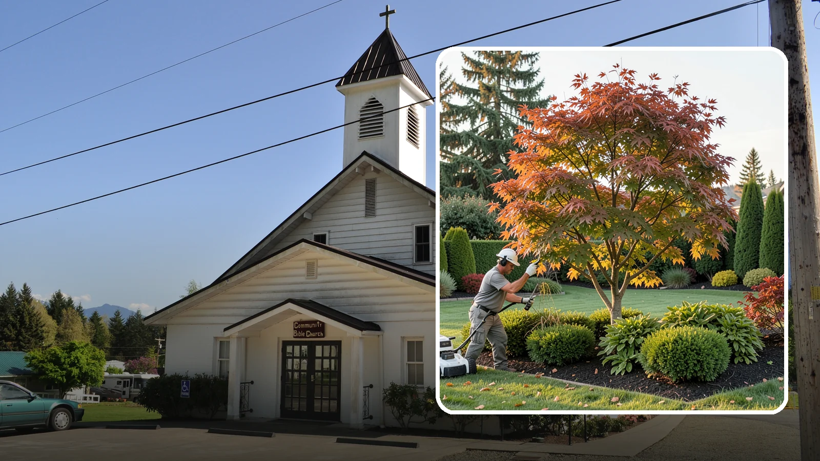 Ornamental Tree Pruning in Concrete, Skagit County, WA - Pruning that keeps ornamental and specimen trees healthy, safe, and beautifully shaped.