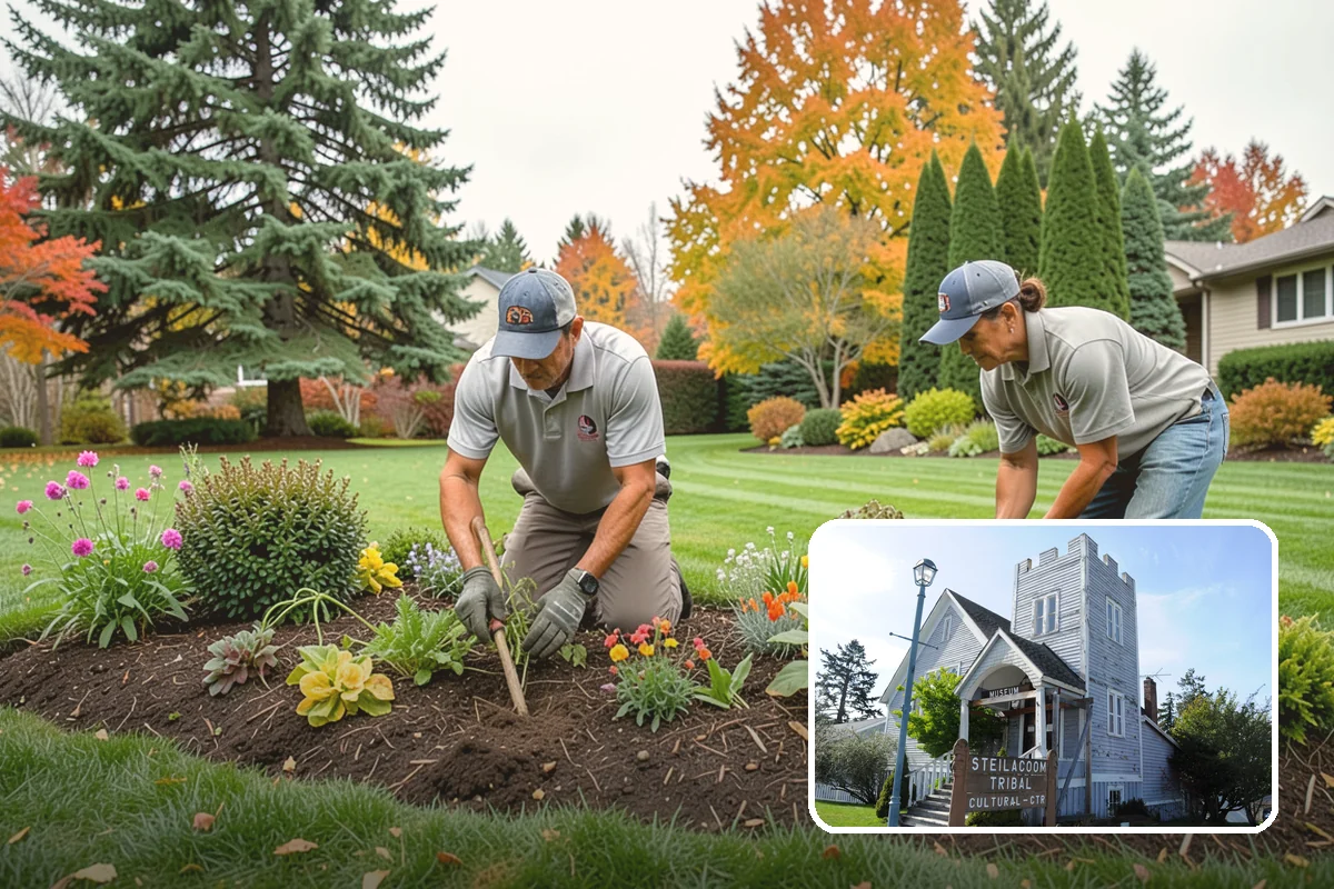 Portuguese Laurel Trimming in Steilacoom, Pierce County, WA - Maintains a refined, formal shape with clean lines