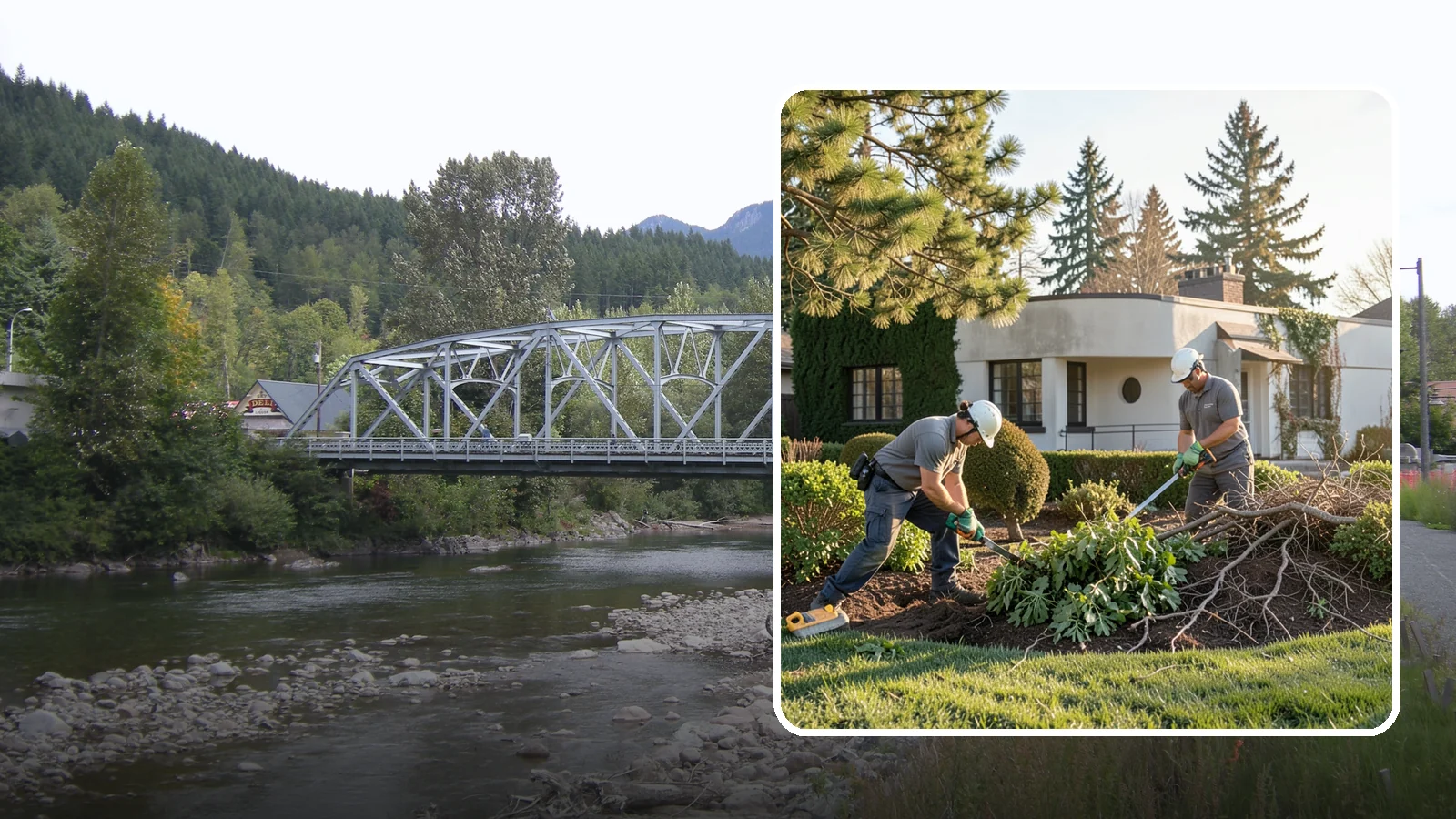 Shrub Removal in Skykomish, King County, WA - Complete removal of overgrown, dead, or unwanted shrubs and bushes, including roots and cleanup.