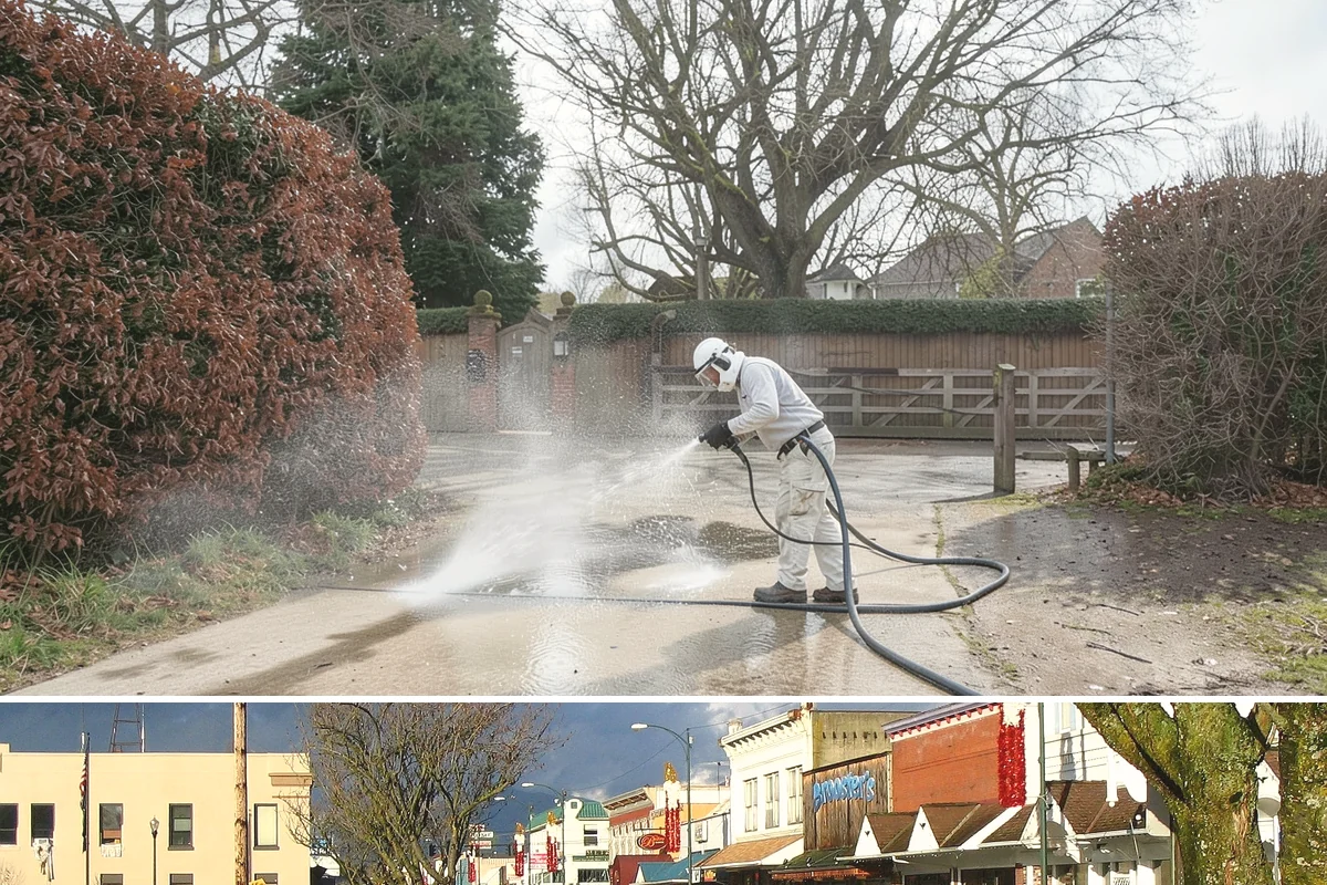 HOA Maintenance Cleaning in Arlington, Snohomish County, WA - Plan community-wide service for spring and fall, the two windows that best manage Northwest moss and algae on shared surfaces.