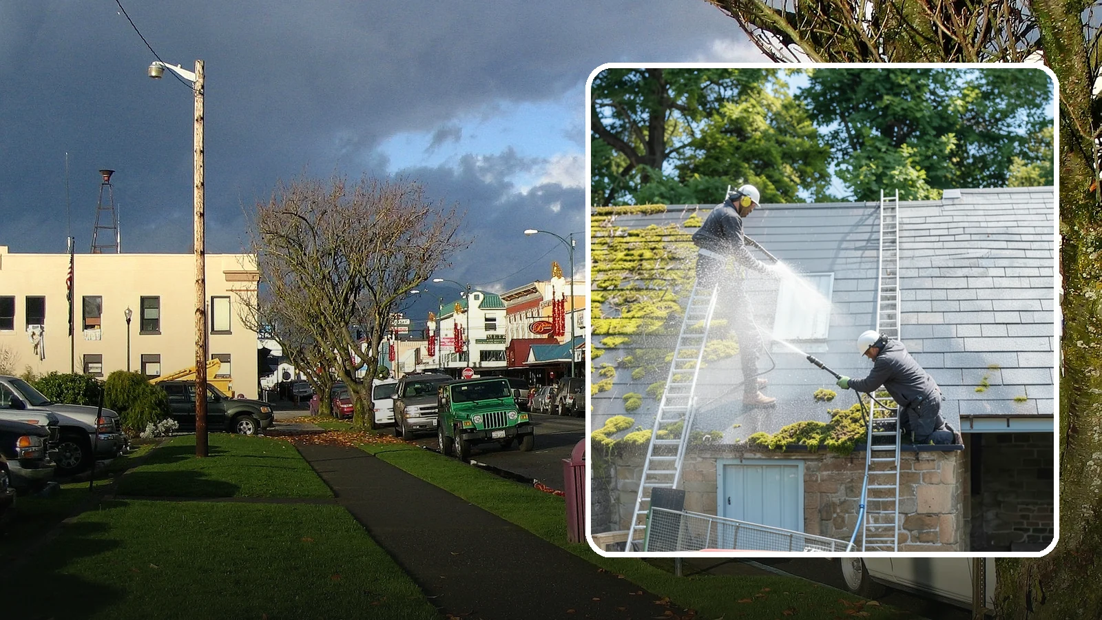 Roof Moss Removal in Arlington, Snohomish County, WA - Targeted moss removal that clears thick colonies from Washington roofs and treats the surface to slow regrowth.