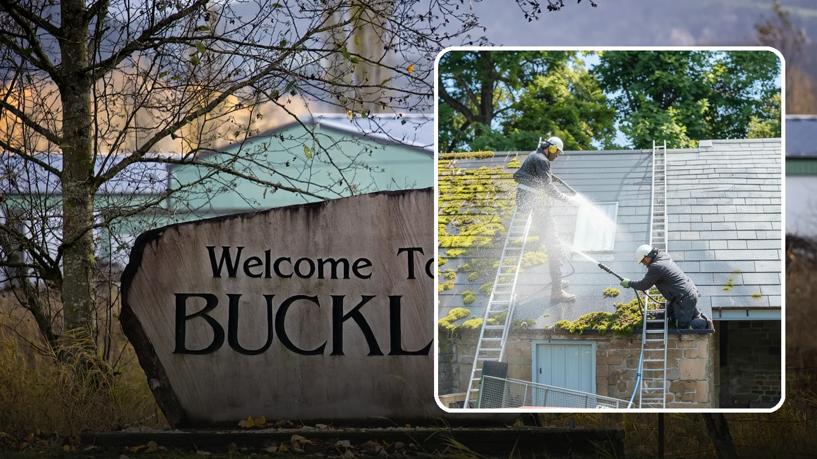 Roof Moss Removal in Buckley, Pierce County, WA - Targeted moss removal that clears thick colonies from Washington roofs and treats the surface to slow regrowth.
