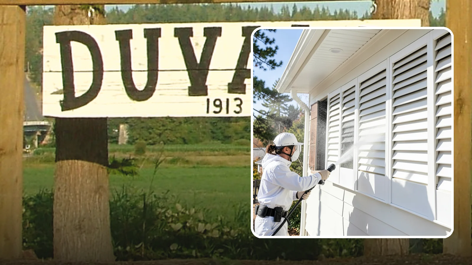 Shutter Cleaning in Duvall, King County, WA - We clean exterior shutters louver by louver to clear the green algae and cobwebs that collect in their grooves.