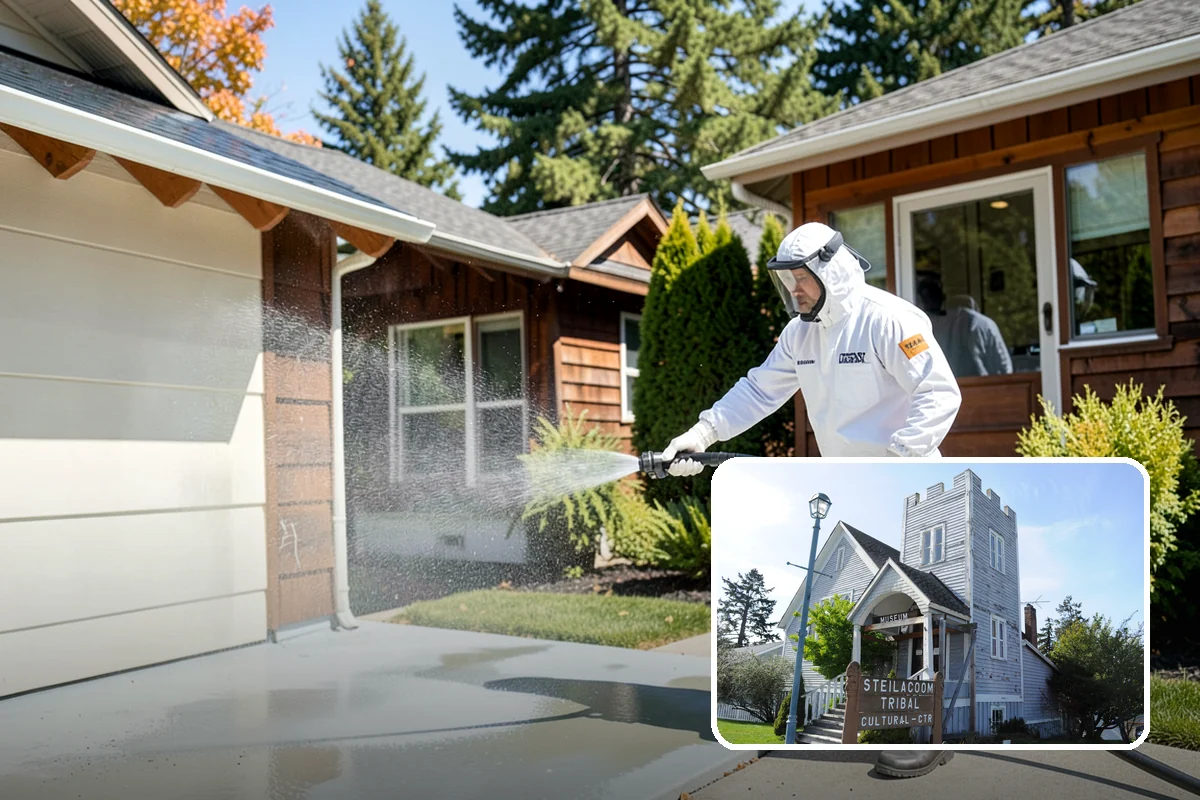 Wood Fence Washing in Steilacoom, Pierce County, WA - Clears algae and dark rundown streaks from every picket