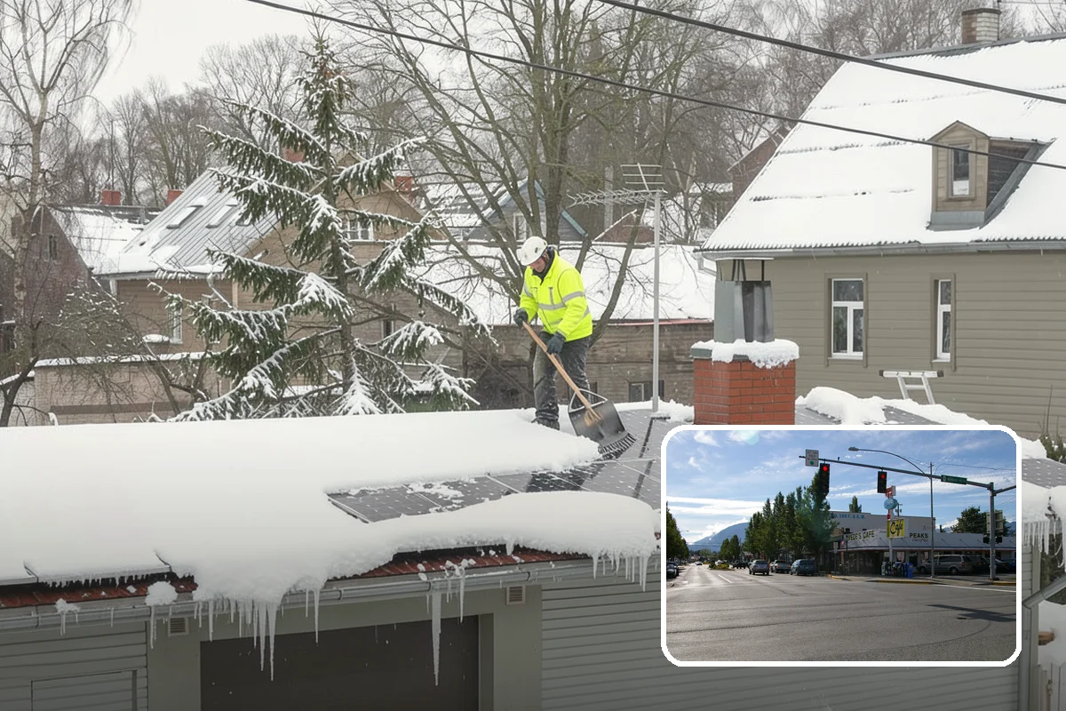 ADA Access Clearing in North Bend, King County, WA - Maintains ADA compliance through every storm