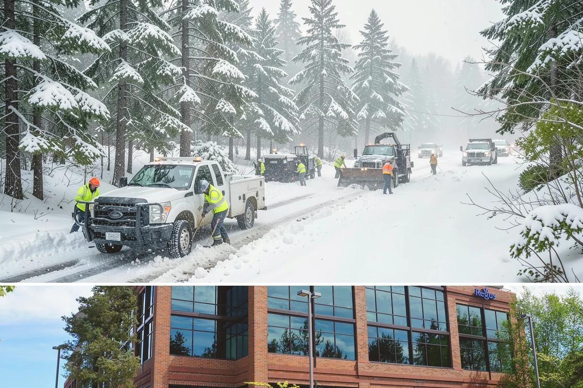 Concrete Driveway Deicing in Mountlake Terrace, Snohomish County, WA - Apply concrete-safe deicing at the onset of each freeze to prevent the ice bond, typically December through February in the...
