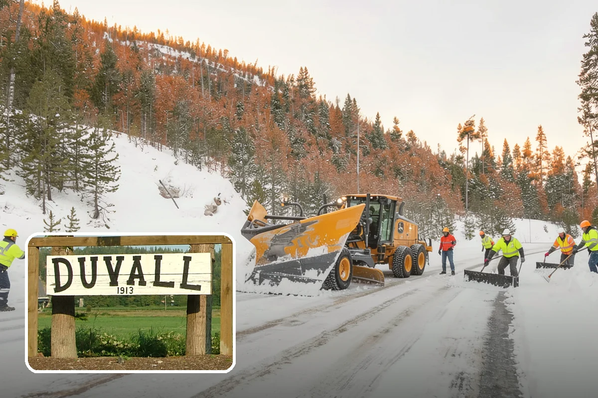 Downtown Snow Hauling in Duvall, King County, WA - Removes snow where no on-site space exists