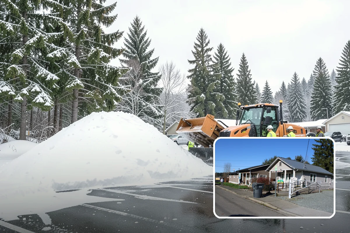 Emergency Walkway Clearing in South Prairie, Pierce County, WA - Provides fast response when you cannot wait for a routine visit