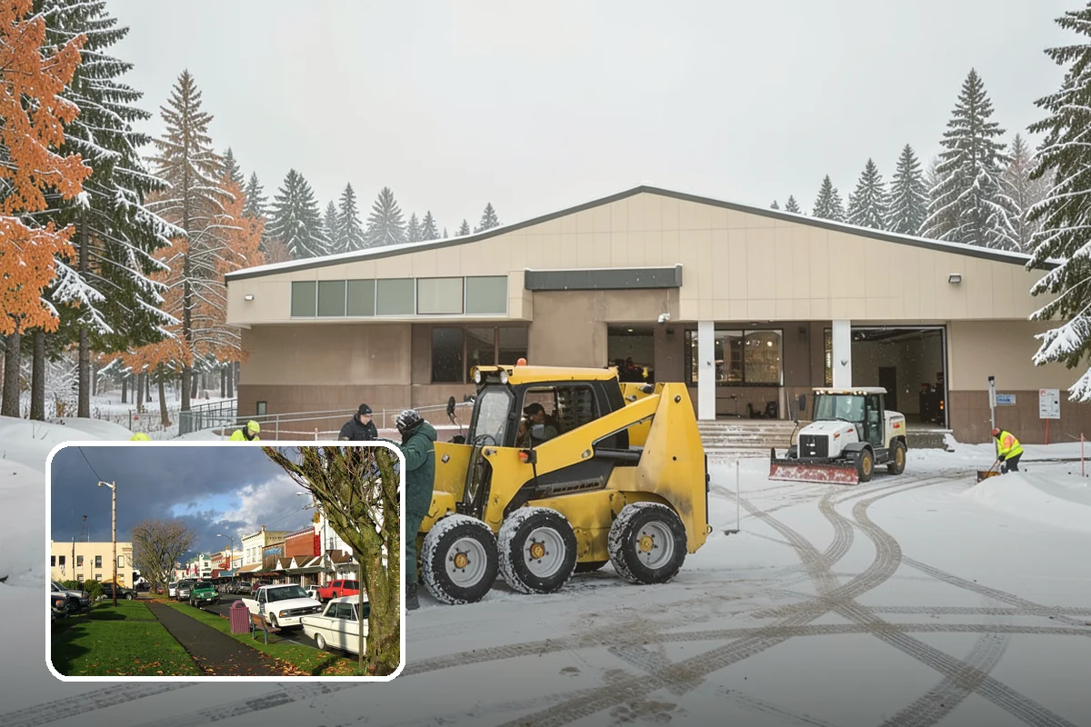 Gutter Ice Removal in Arlington, Snohomish County, WA - Restores drainage so meltwater flows away