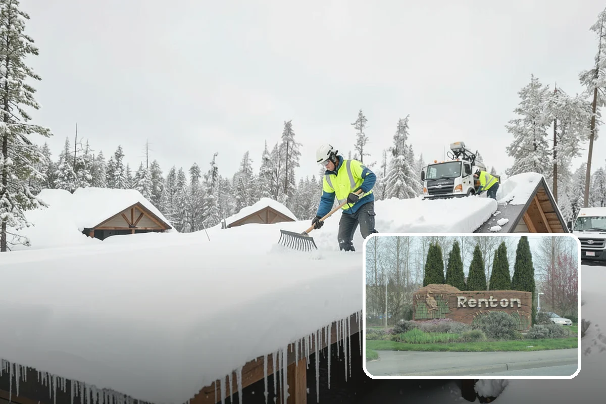 Gutter Ice Removal in Renton, King County, WA - Restores drainage so meltwater flows away