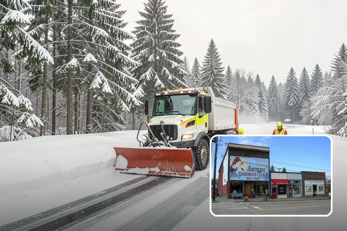 Ice Dam Prevention in Ruston, Pierce County, WA - Avoids the interior water damage dams cause