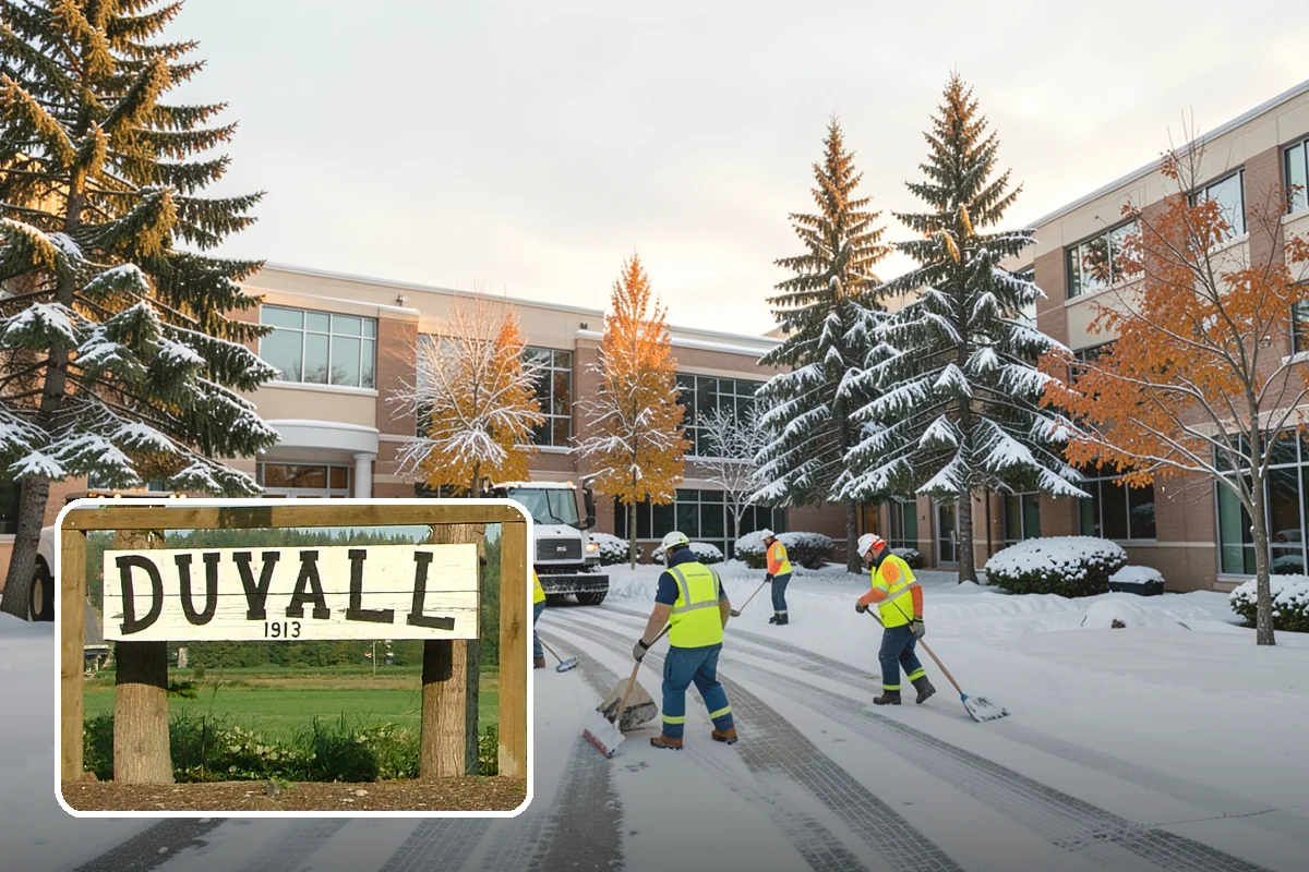 Ice Removal from Driveways in Duvall, King County, WA - Removes bonded ice a shovel cannot lift