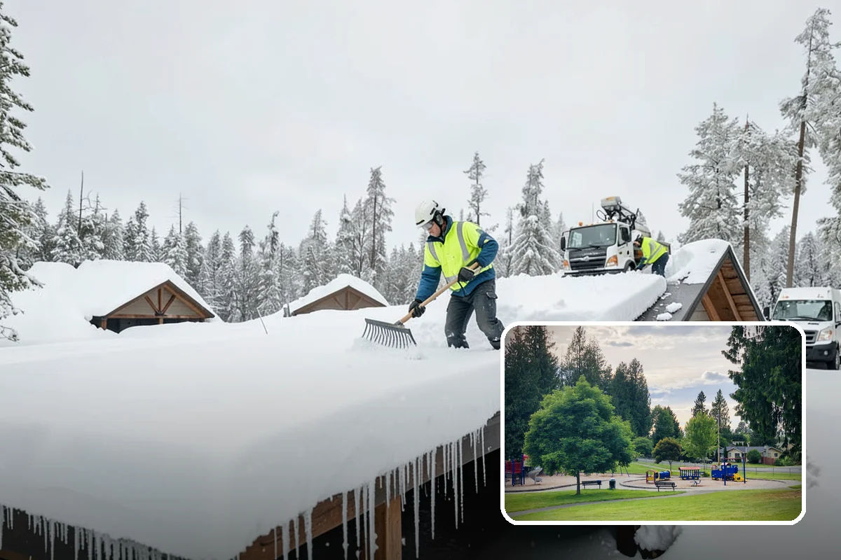 Office Snow Hauling in Bonney Lake, Pierce County, WA - Restores full parking capacity for the workday