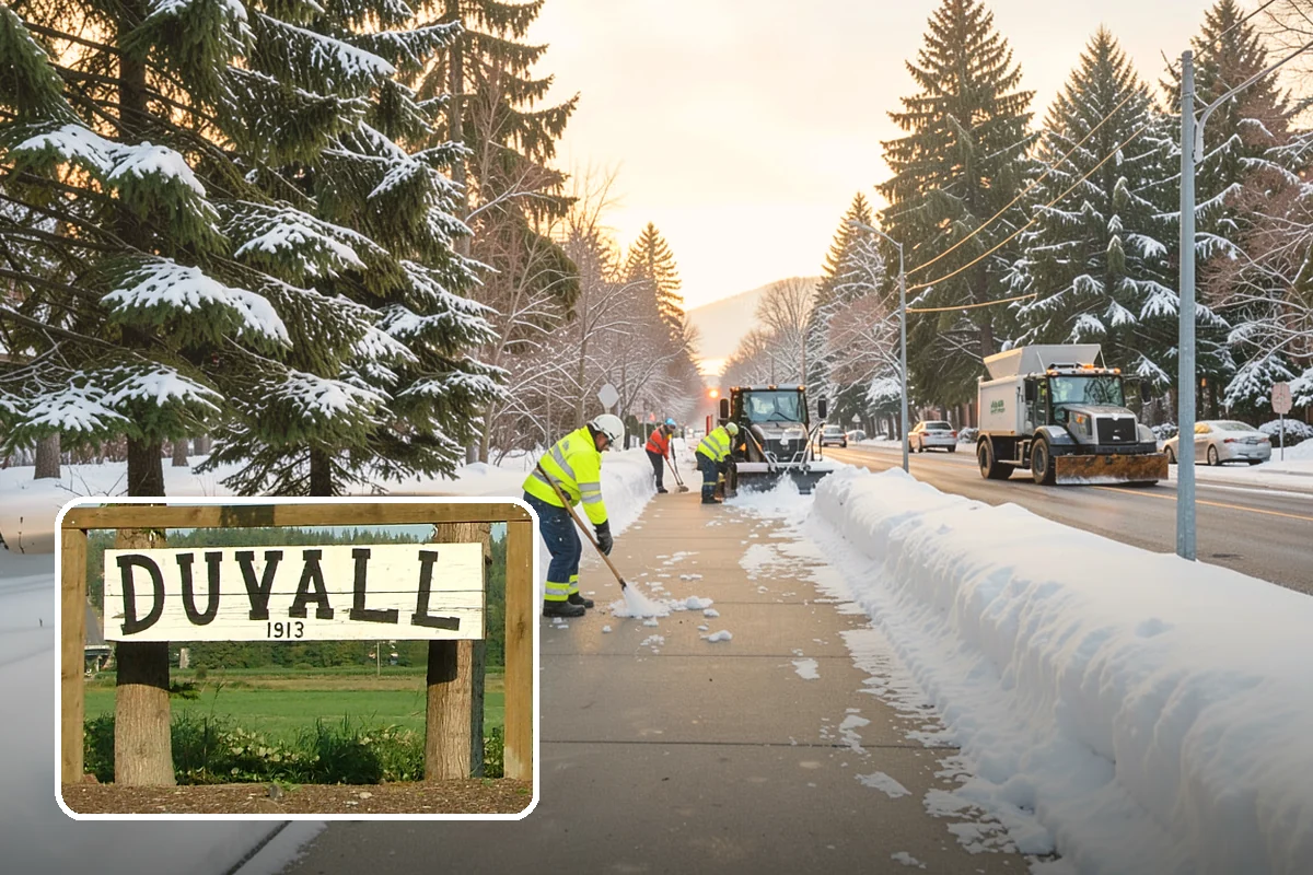 Parking Lot Ice Removal in Duvall, King County, WA - Clears layered ice deicer cannot lift