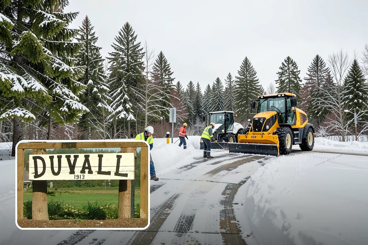 Snow Hauling in Duvall, King County, WA - Recovers parking and usable space lost to piles