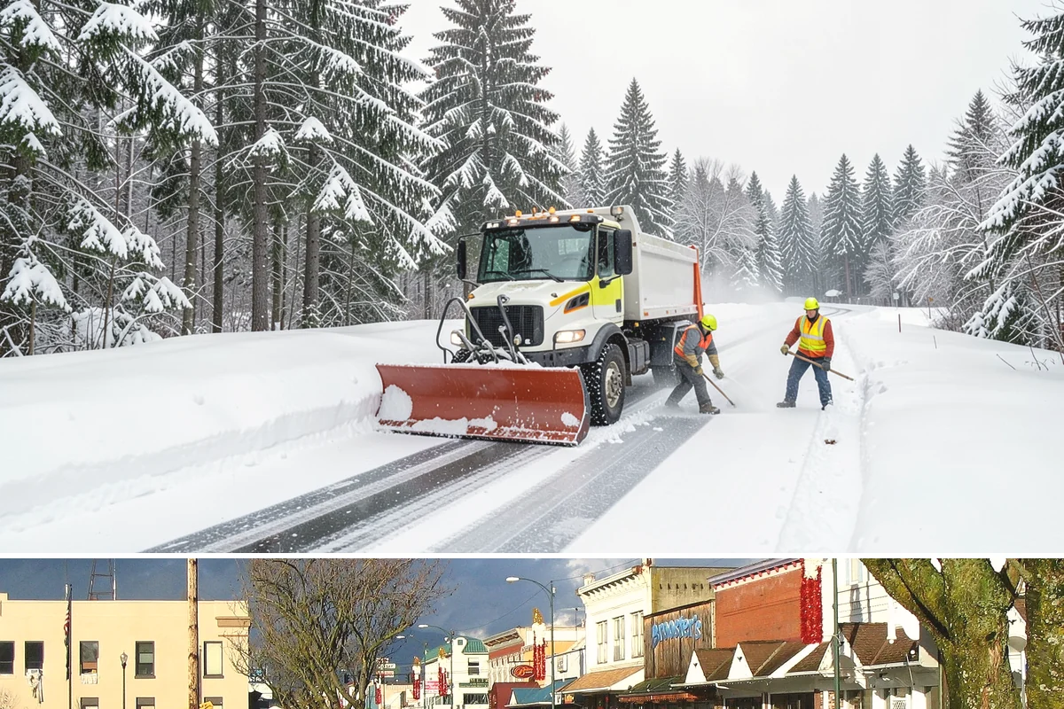 Snow Removal Consultation in Arlington, Snohomish County, WA - Book a consultation in early fall so you can weigh your options well before the first snow event arrives.