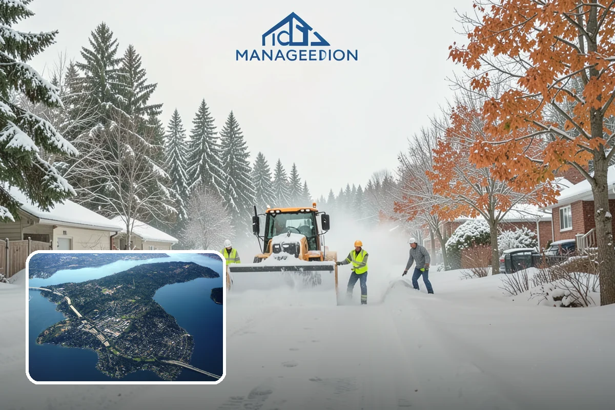 Steps Snow Removal in Mercer Island, King County, WA - Targets the treads and nosings where slips begin
