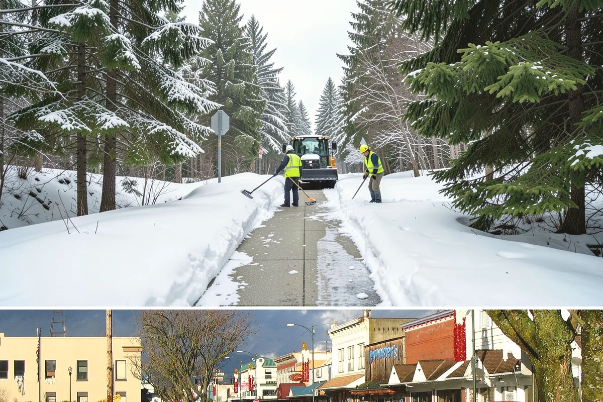 UTV Snow Plowing in Arlington, Snohomish County, WA - UTV plowing is in steady demand across the core snow months of December through February.
