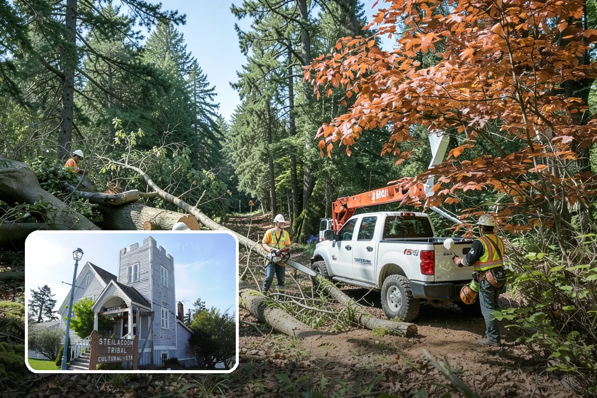 Brush clearing in Steilacoom, Pierce County, WA - Improves access and usability of a site