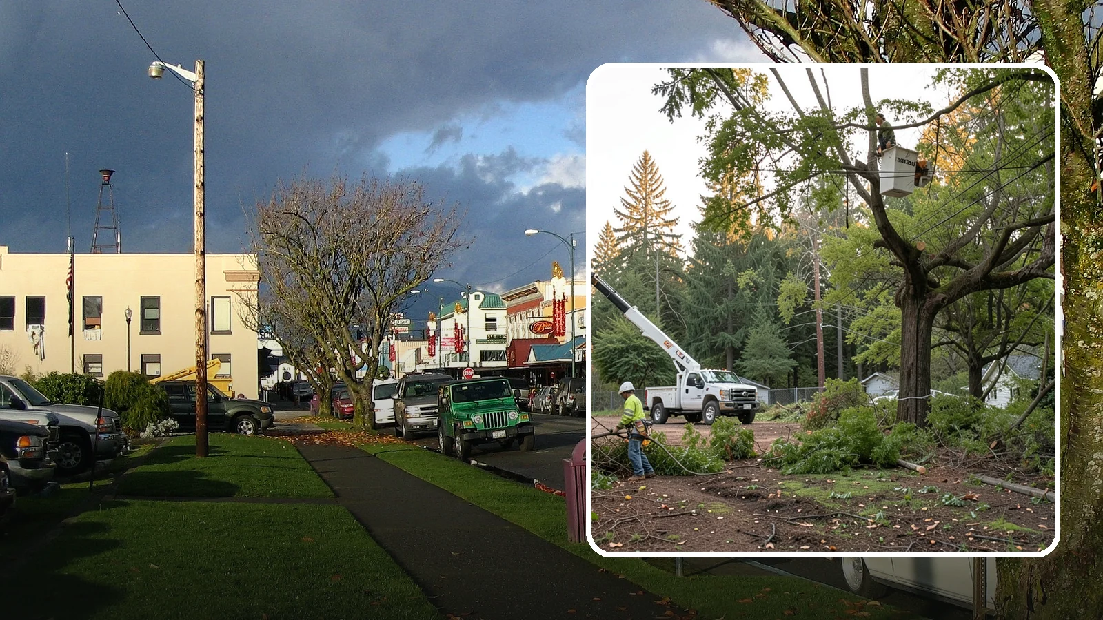 Building clearance pruning in Arlington, Snohomish County, WA - The pruning of branches away from walls and structures.