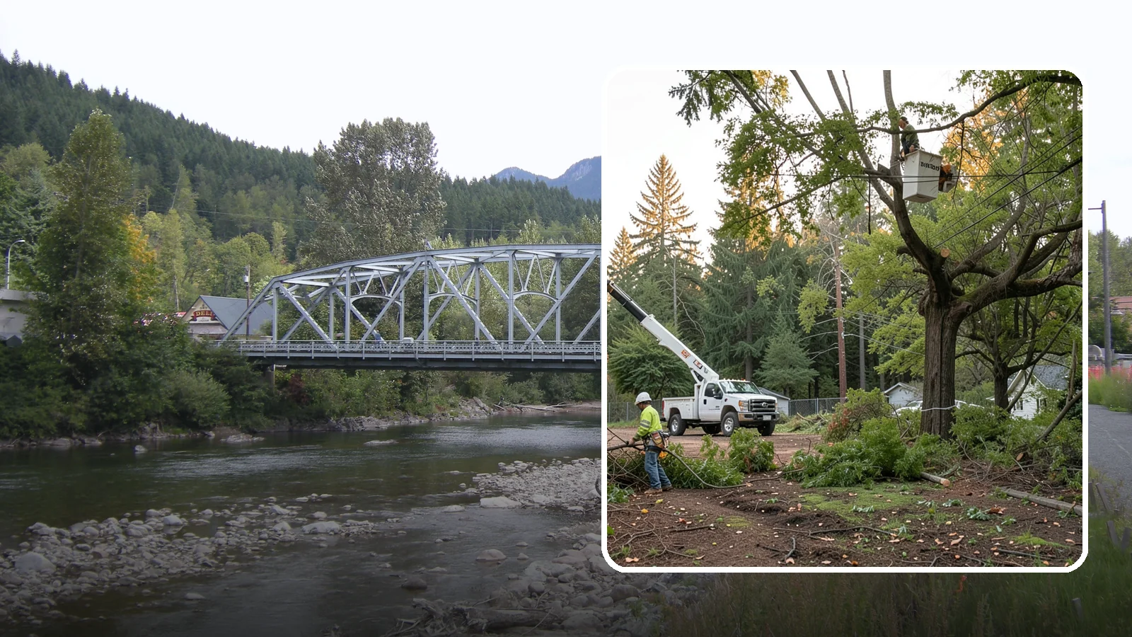 Building clearance pruning in Skykomish, King County, WA - The pruning of branches away from walls and structures.