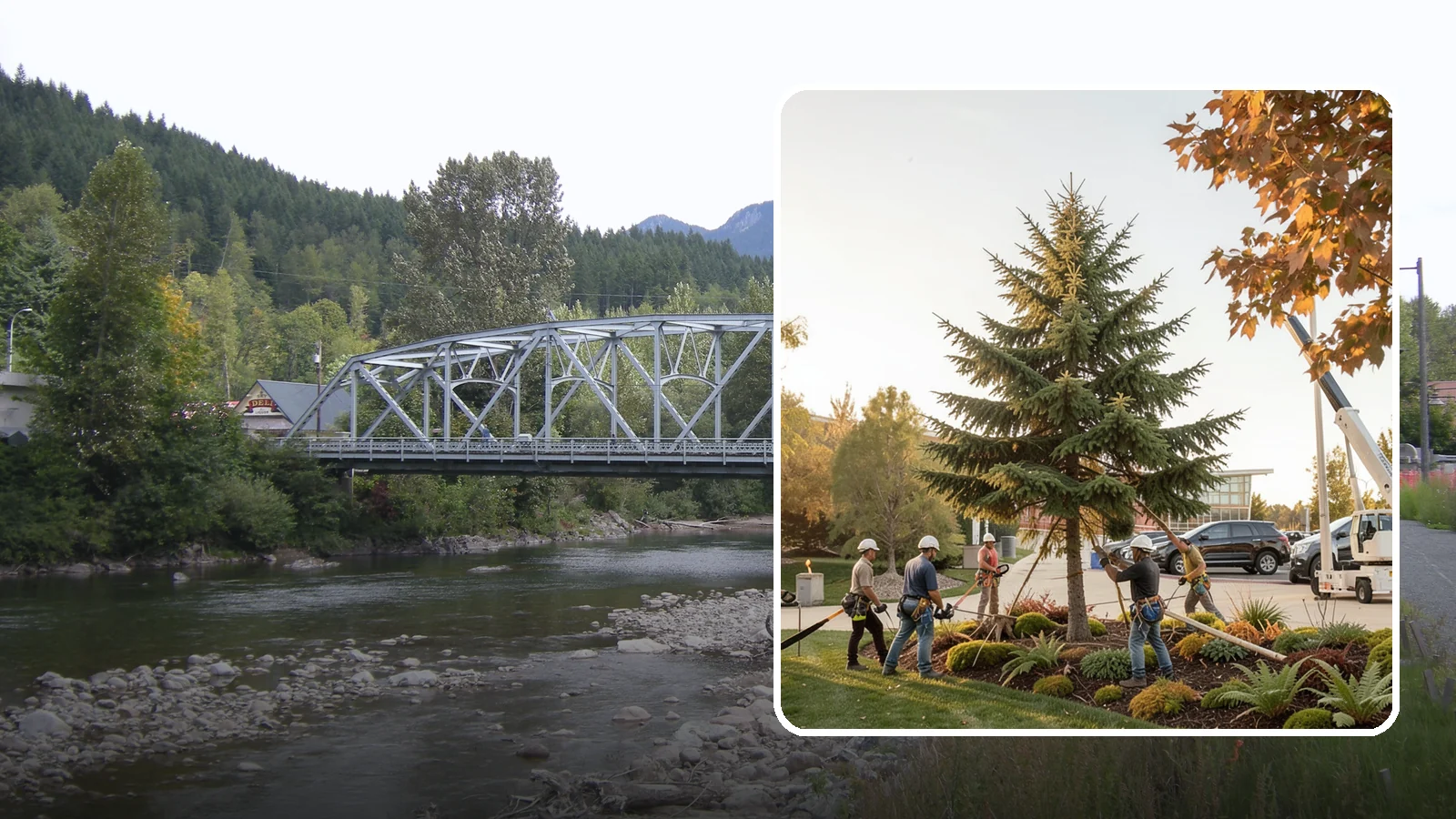 Campus tree management in Skykomish, King County, WA - Tree management for campuses and institutional grounds.