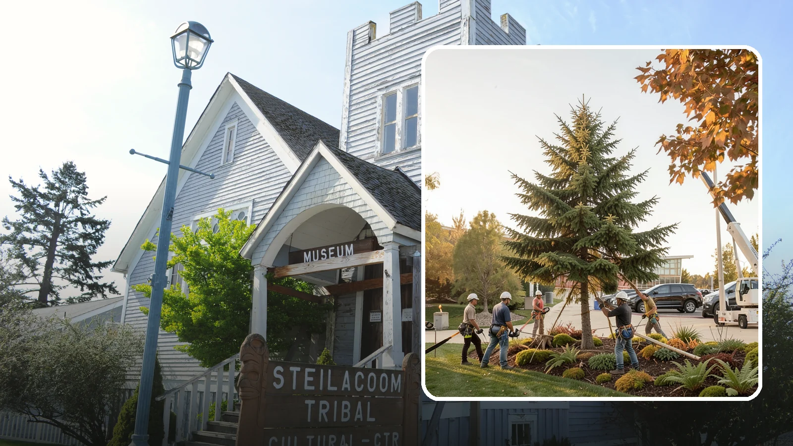 Campus tree management in Steilacoom, Pierce County, WA - Tree management for campuses and institutional grounds.