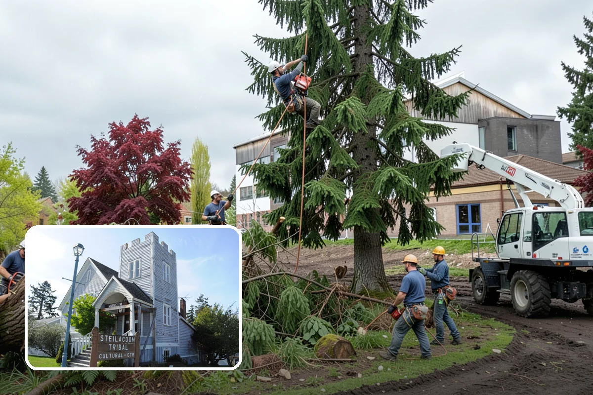 Construction tree protection fencing in Steilacoom, Pierce County, WA - Protects valued trees during projects