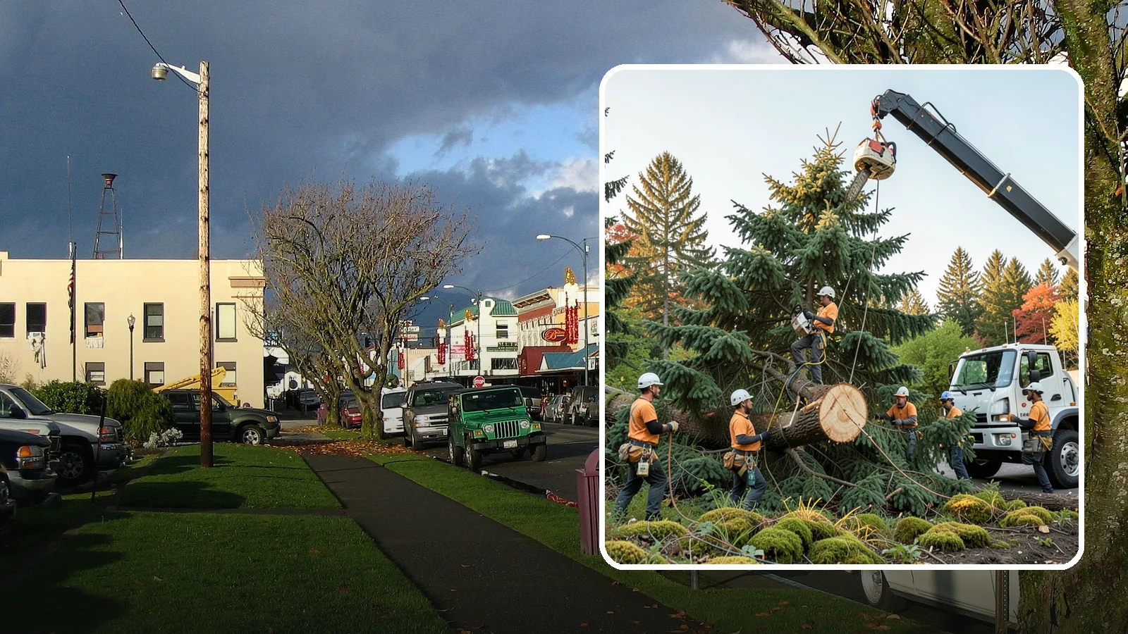Crane-assisted tree removal in Arlington, Snohomish County, WA - The removal of trees using a crane to lift sections clear of obstacles.