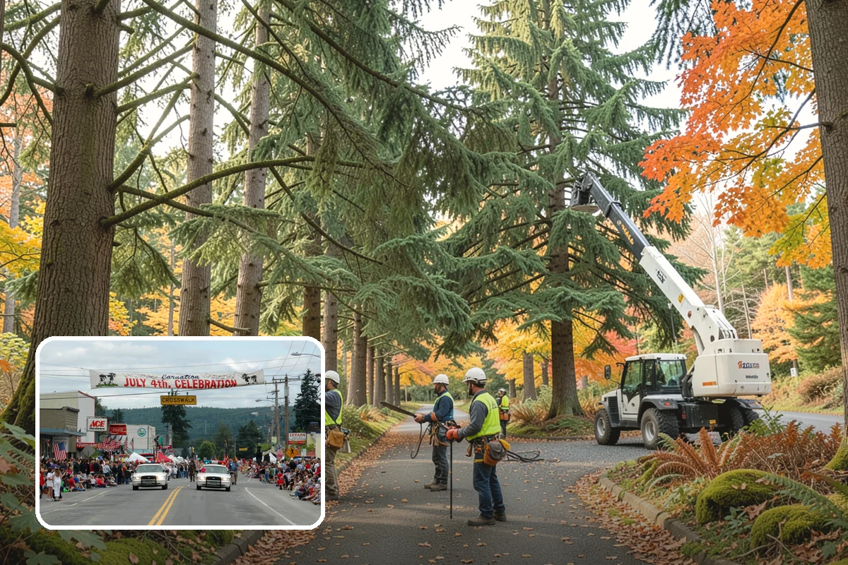 Crown reduction in Carnation, King County, WA - Improves tree structure, health, and appearance