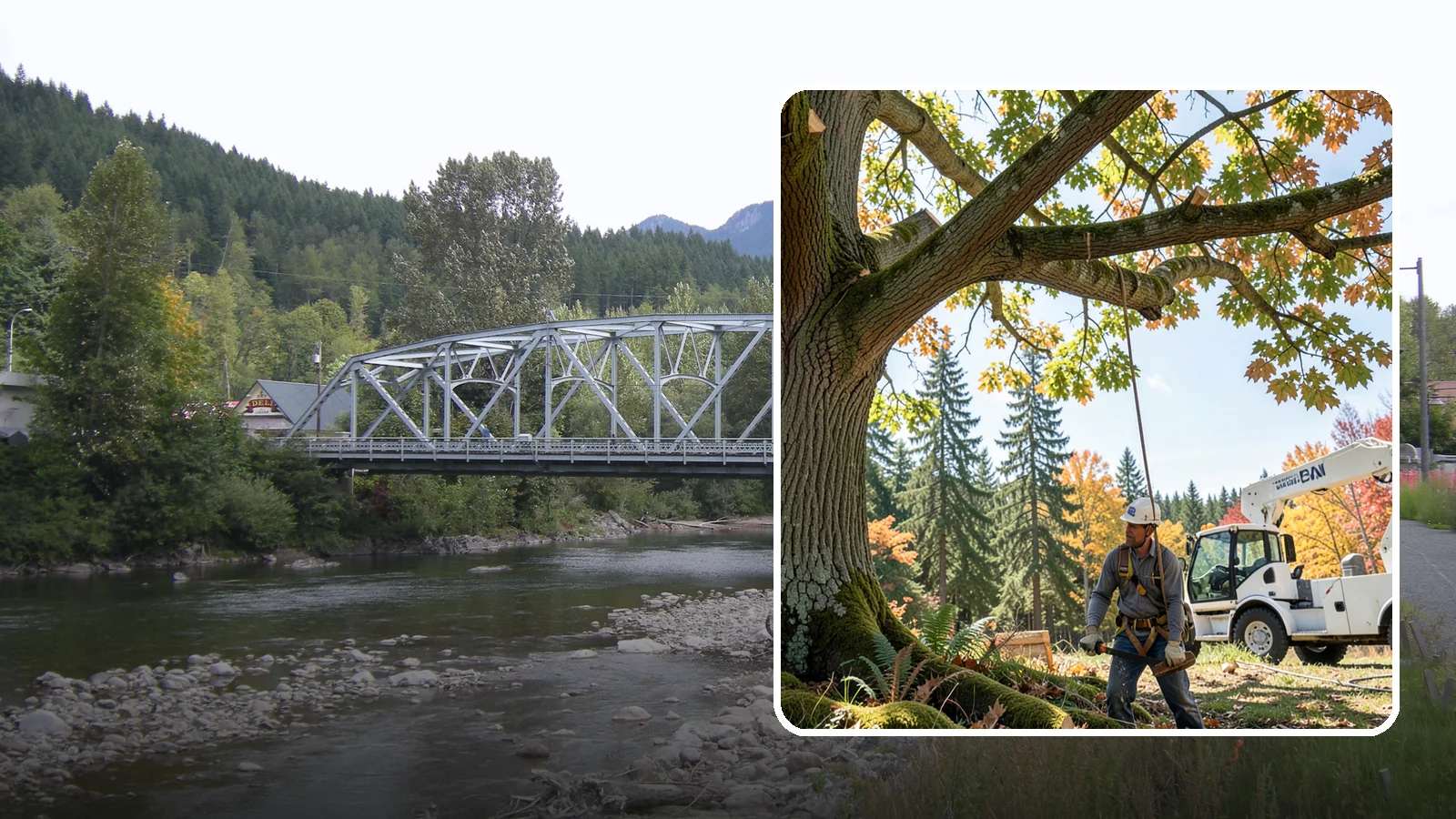 Deadwood removal in Skykomish, King County, WA - The removal of dead branches from the canopy.