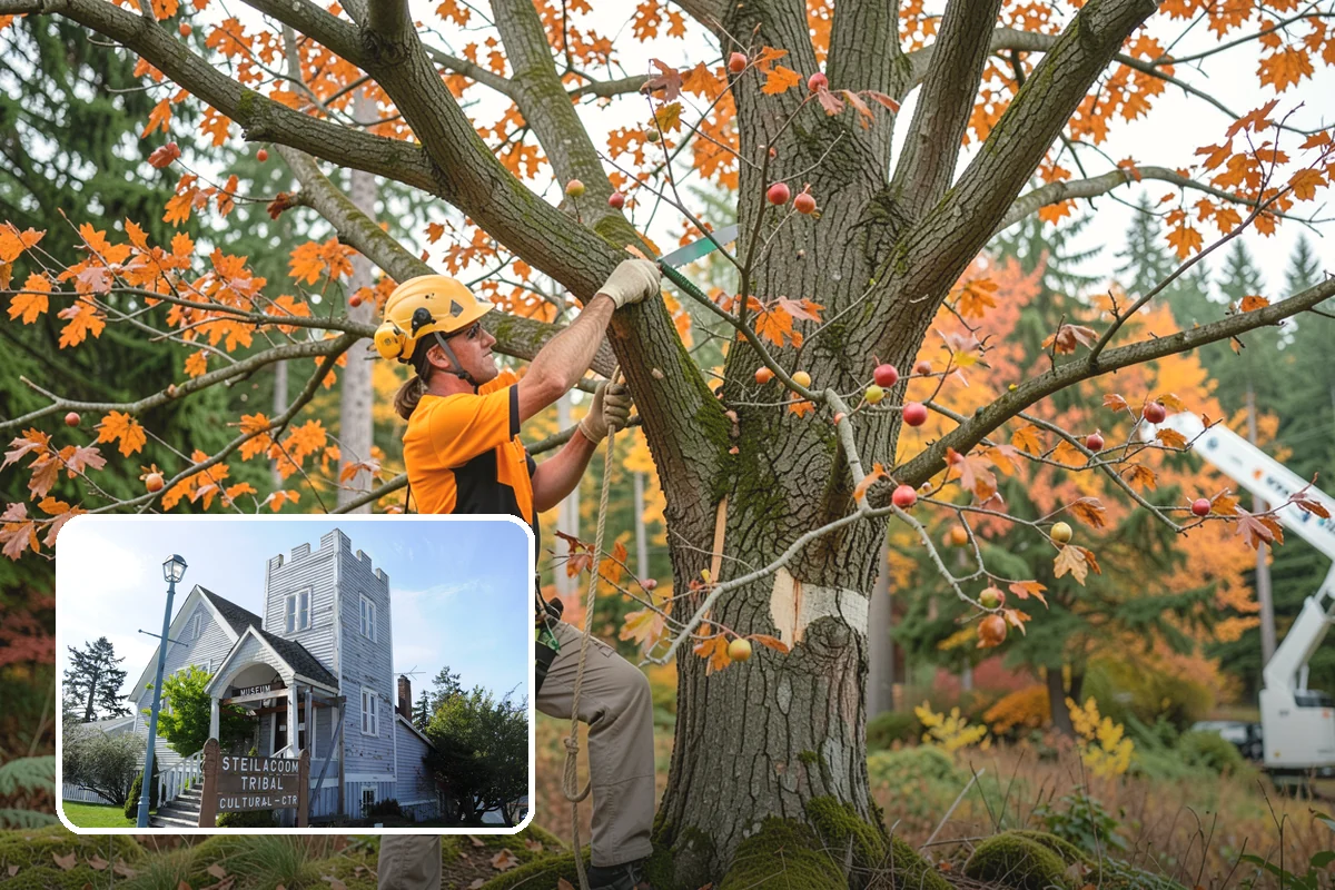 Deep root fertilization in Steilacoom, Pierce County, WA - Supports long-term tree health and stability