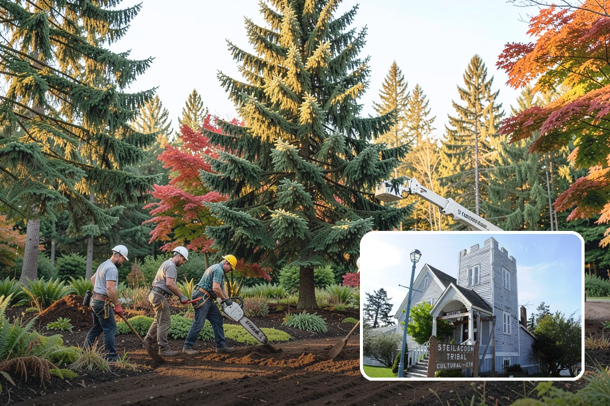 Disease diagnosis in Steilacoom, Pierce County, WA - Supports long-term tree health and stability