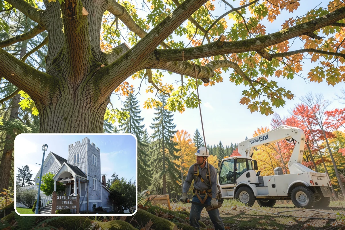 Emergency tree removal in Steilacoom, Pierce County, WA - Removes safety hazards and reduces liability