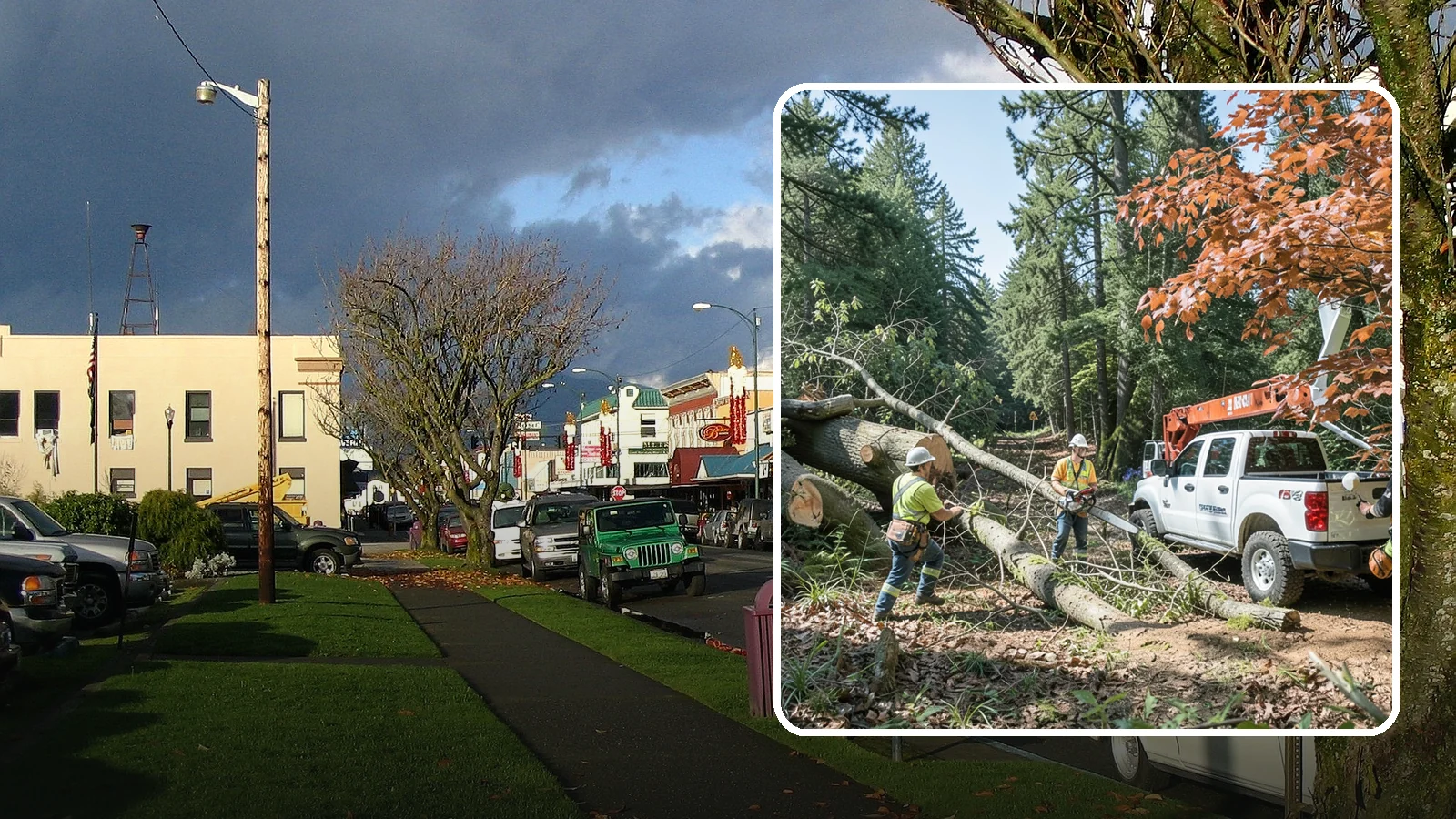 Fallen tree removal in Arlington, Snohomish County, WA - The cleanup and removal of trees that have already fallen.