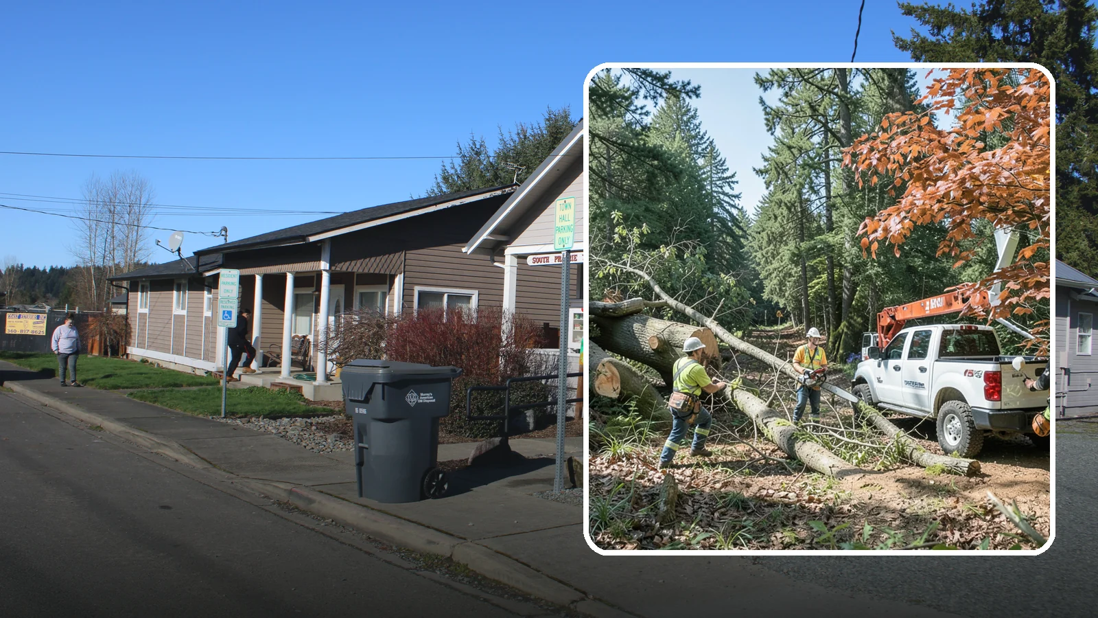 Fallen tree removal in South Prairie, Pierce County, WA - The cleanup and removal of trees that have already fallen.
