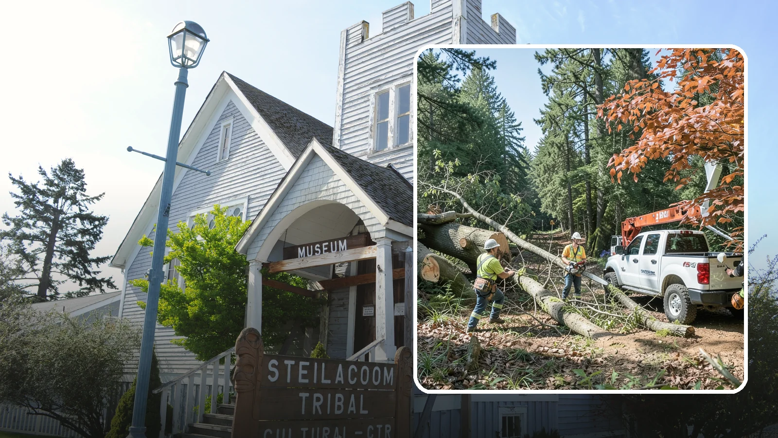Fallen tree removal in Steilacoom, Pierce County, WA - The cleanup and removal of trees that have already fallen.