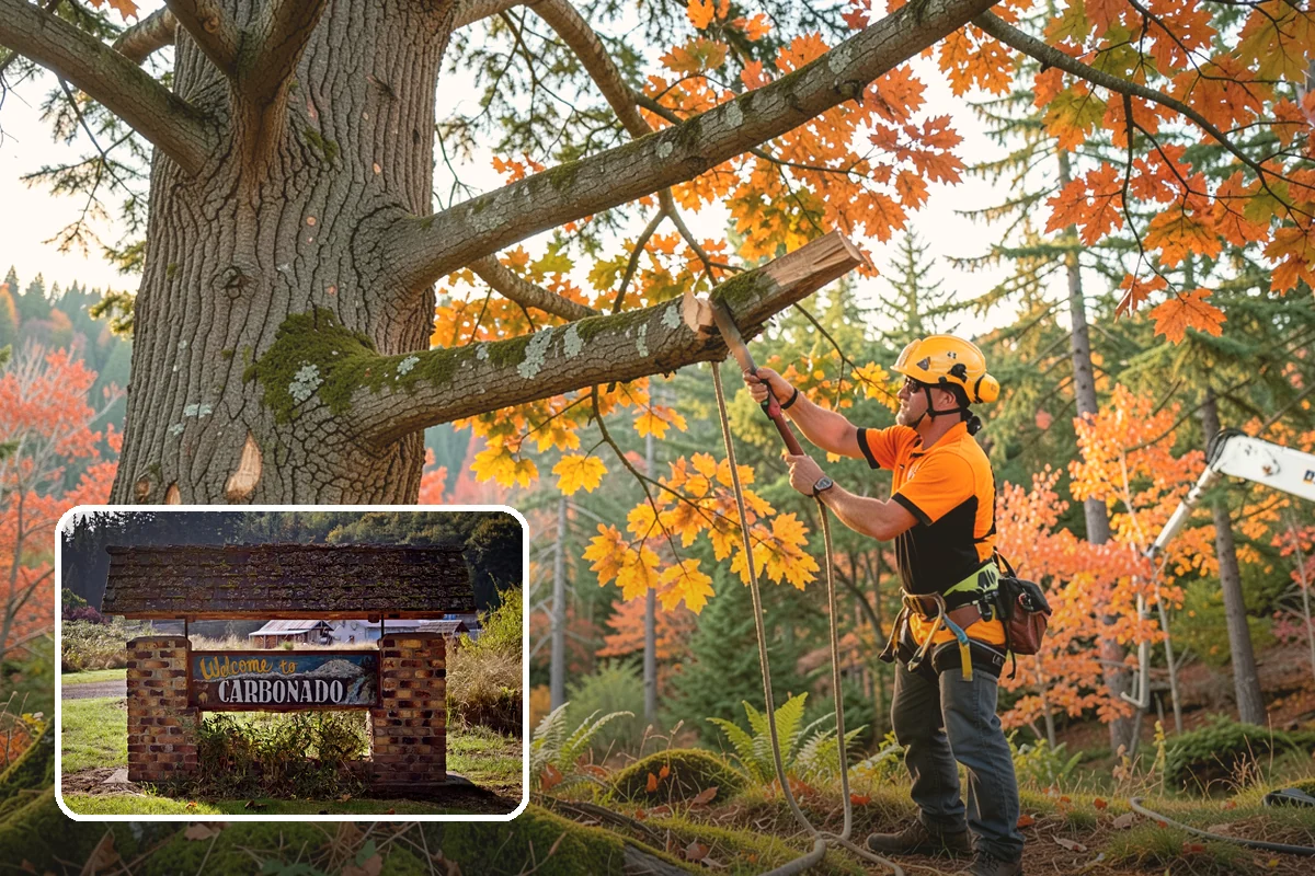 Green waste hauling in Carbonado, Pierce County, WA - Turns removed wood and debris into usable products