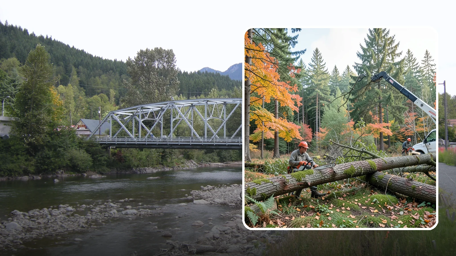Hazard Mitigation in Skykomish, King County, WA - The identification and reduction of tree-related hazards through targeted corrective work.