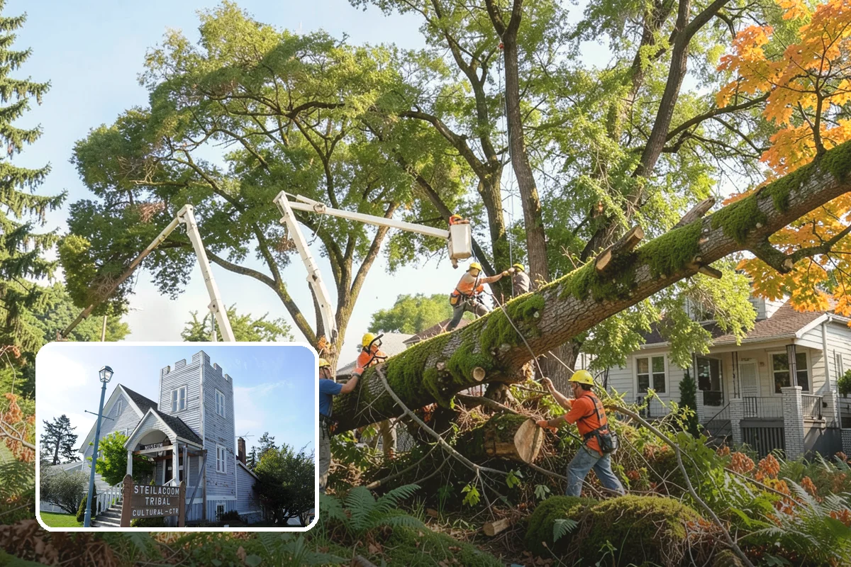 Insurance claim documentation in Steilacoom, Pierce County, WA - Provides expert, objective guidance