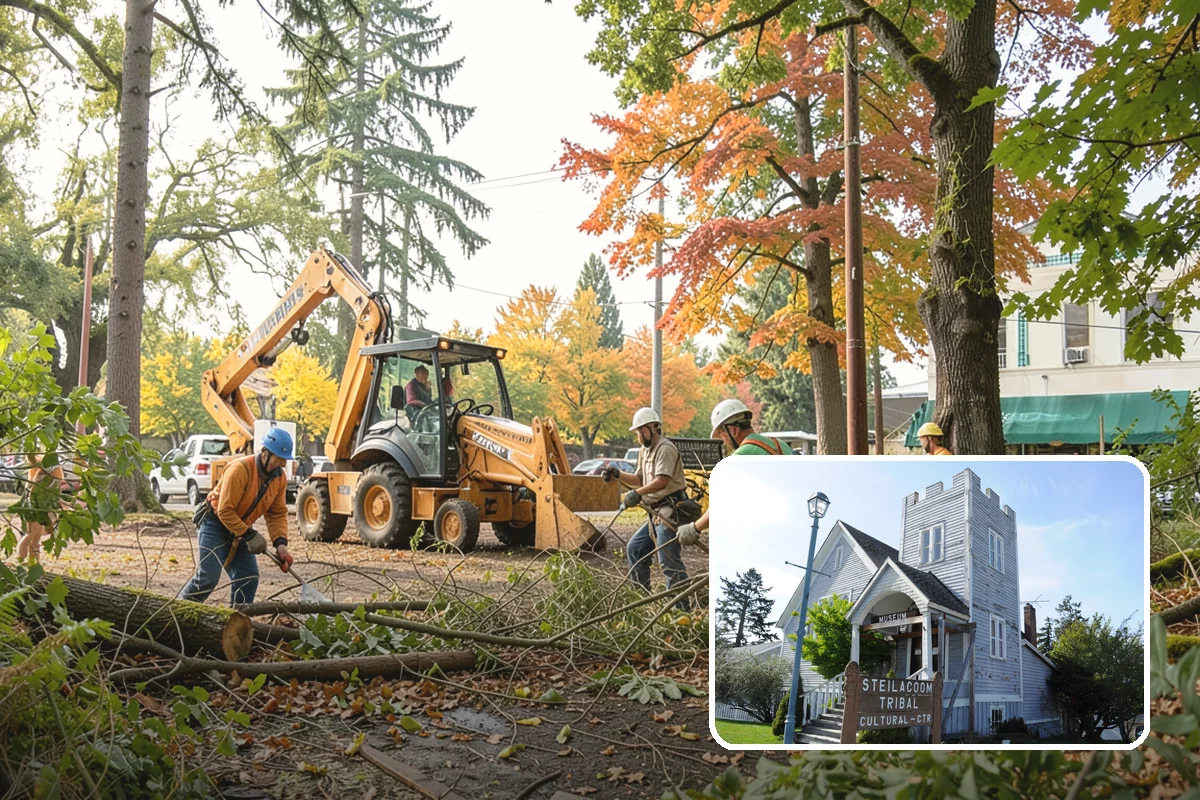 Ivy removal from trees in Steilacoom, Pierce County, WA - Supports long-term tree health and stability