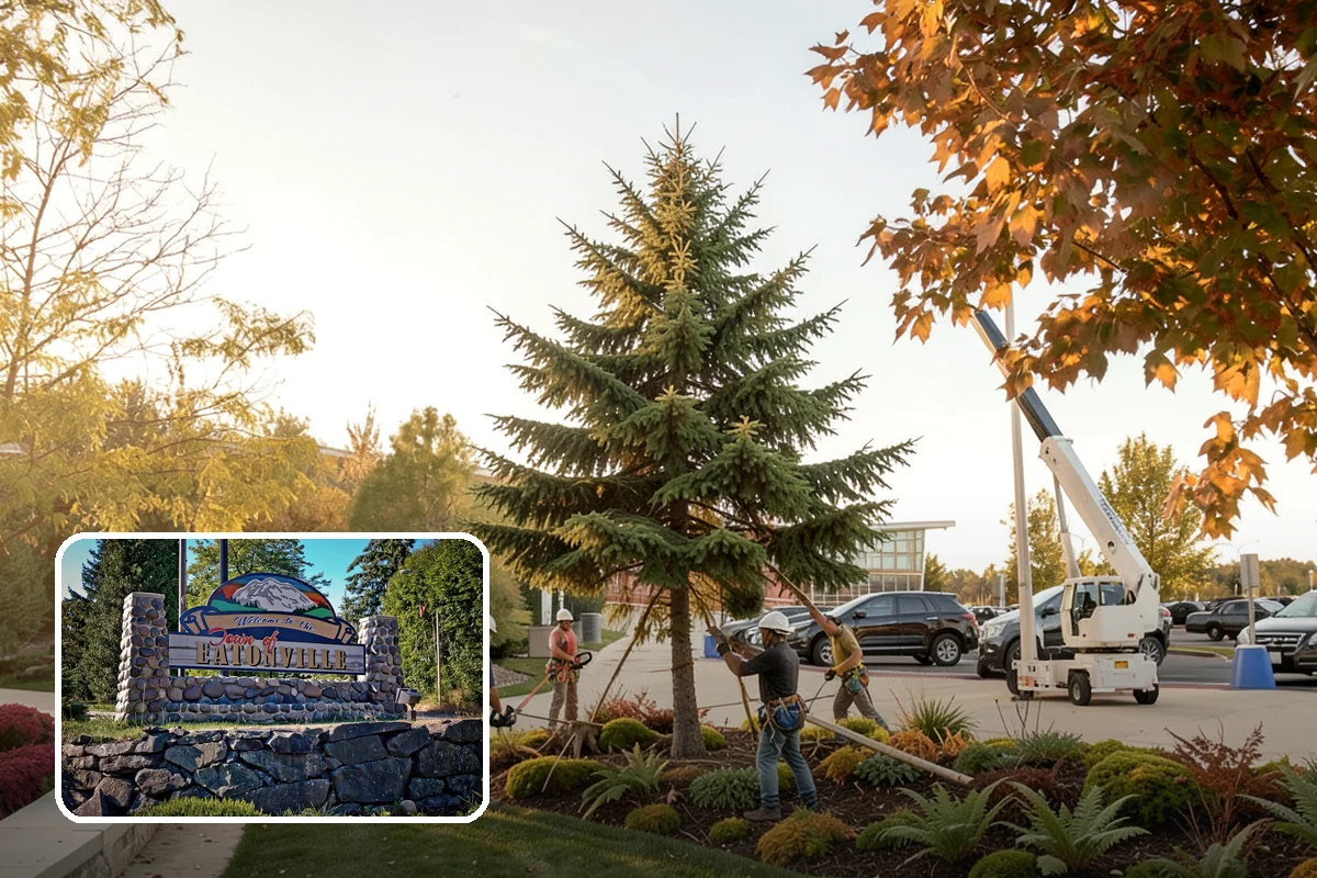Log hauling in Eatonville, Pierce County, WA - Turns removed wood and debris into usable products