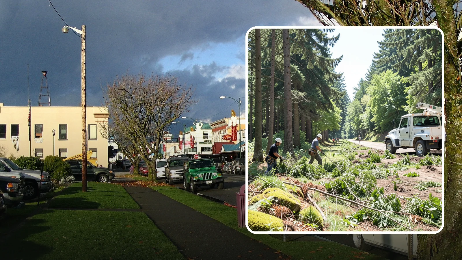 Right-of-way clearing in Arlington, Snohomish County, WA - The clearing of vegetation along easements and access corridors.