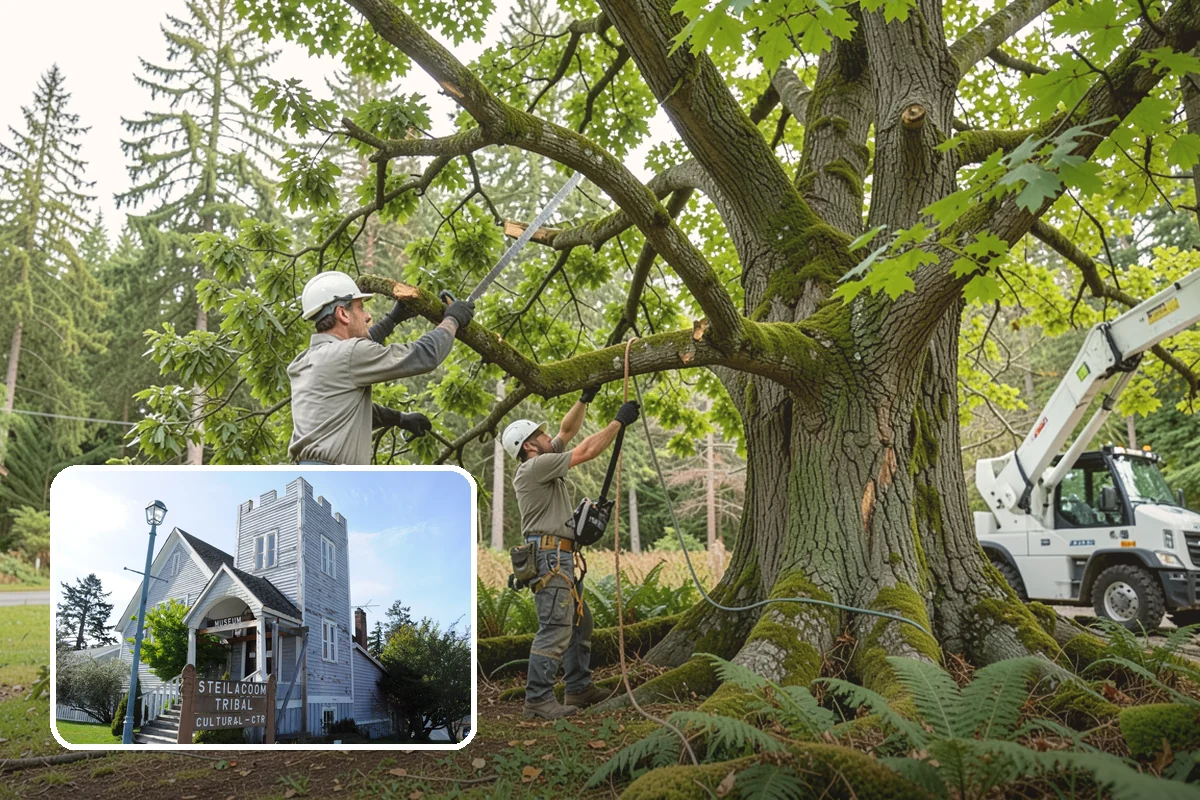 Shrub pruning in Steilacoom, Pierce County, WA - Maintains shape, health, and appearance