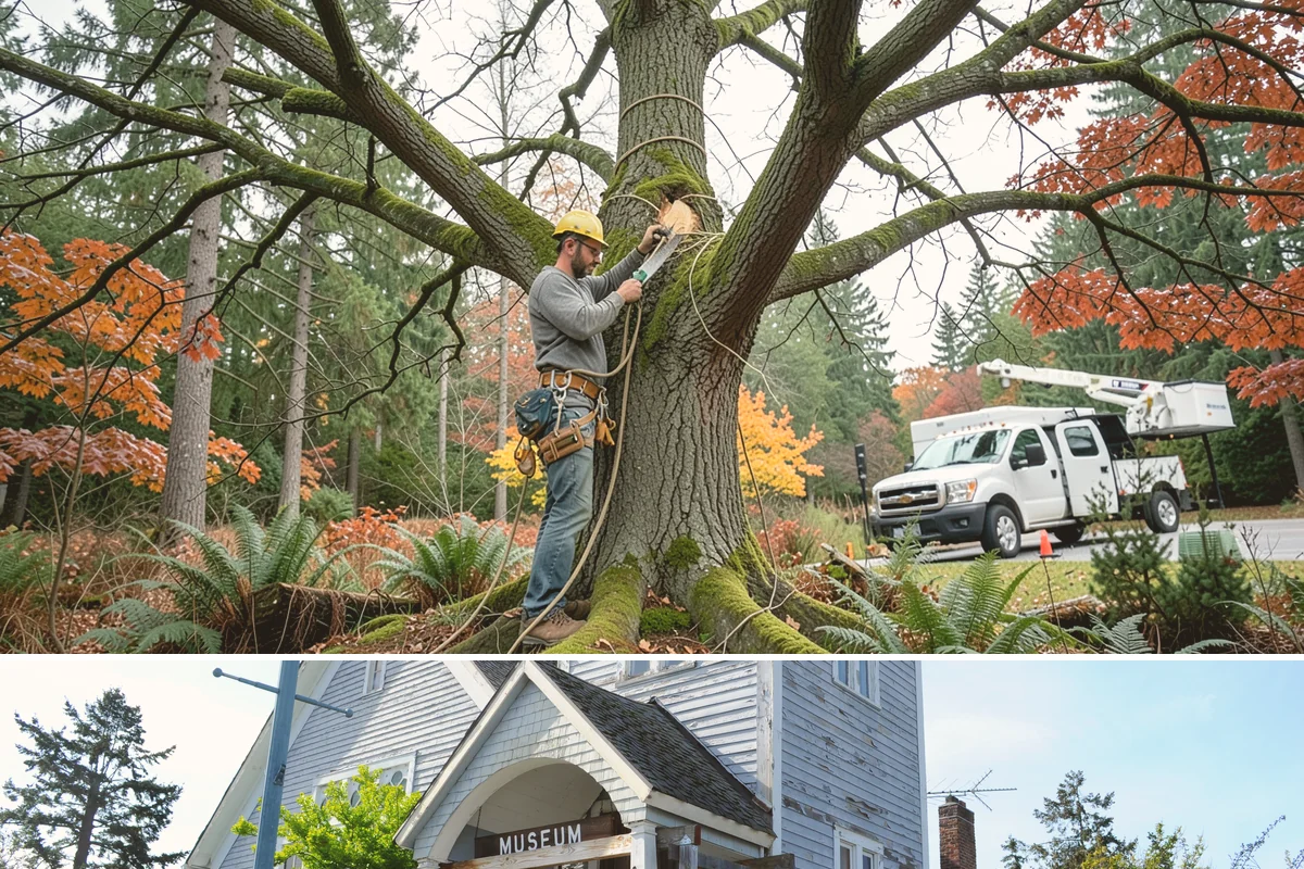 Site Preparation Clearing in Steilacoom, Pierce County, WA - Work can be performed year-round in the Puget Sound climate but may require special equipment for winter snow or mud