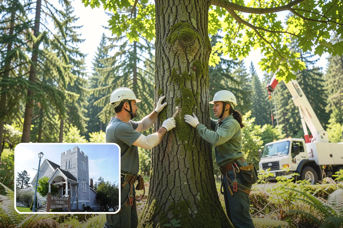 Tree planting in Steilacoom, Pierce County, WA - Restores and expands tree cover