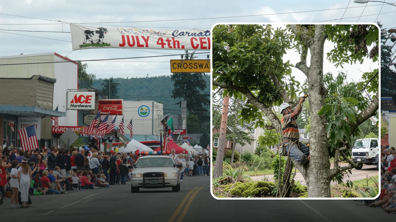 Tree Pruning in Carnation, King County, WA - The removal of specific branches to improve a tree's structure, health, and safety.