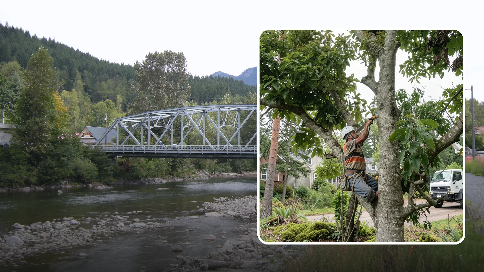 Tree Pruning in Skykomish, King County, WA - The removal of specific branches to improve a tree's structure, health, and safety.