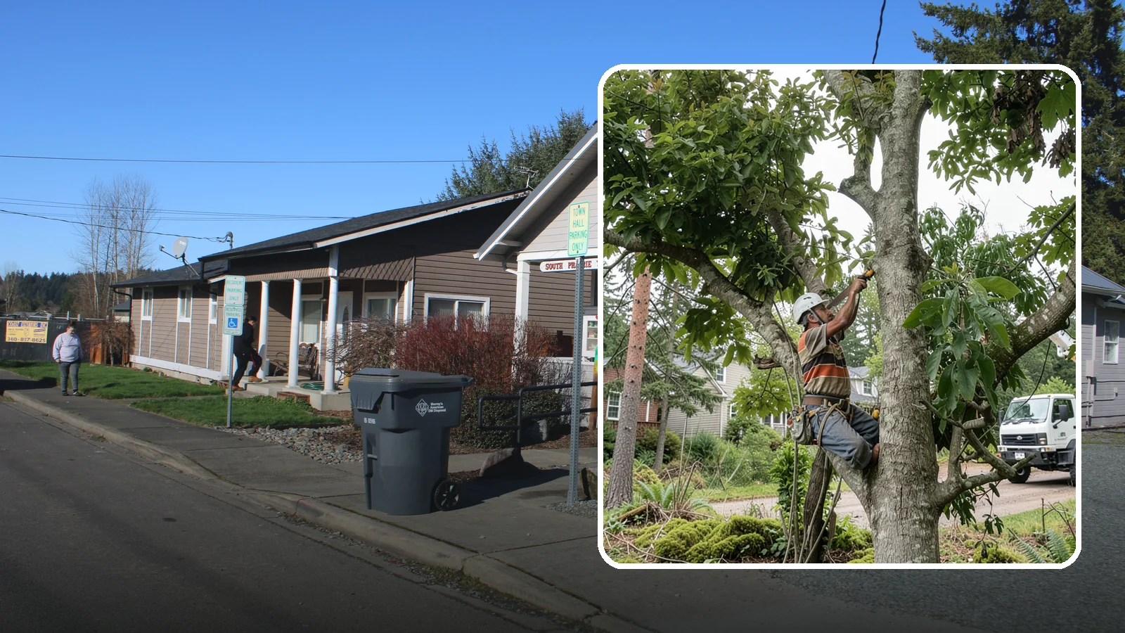 Tree Pruning in South Prairie, Pierce County, WA - The removal of specific branches to improve a tree's structure, health, and safety.